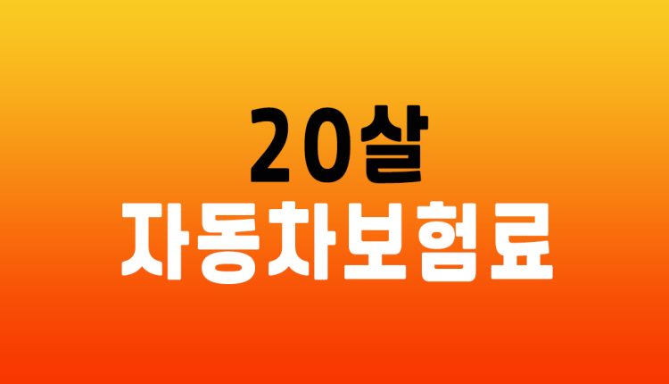 20살 자동차보험료