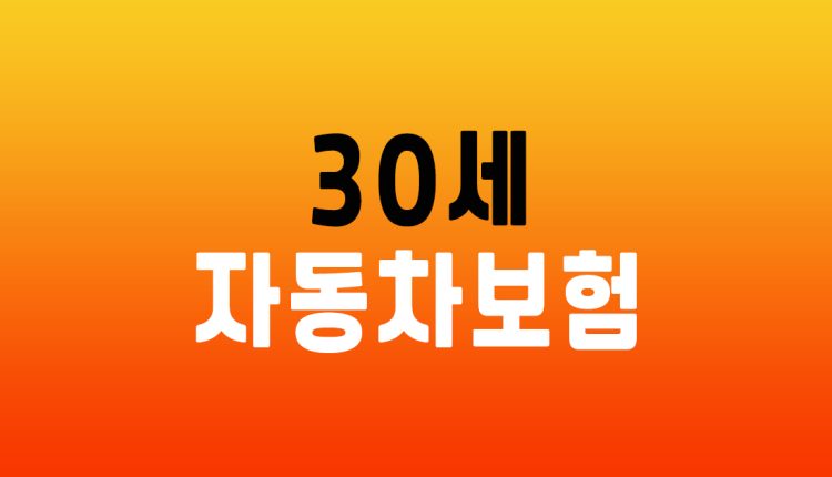 30세 자동차보험료