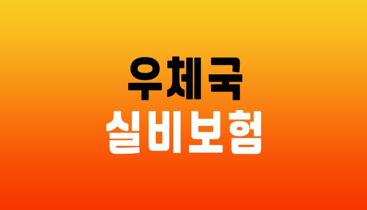우체국 실비보험