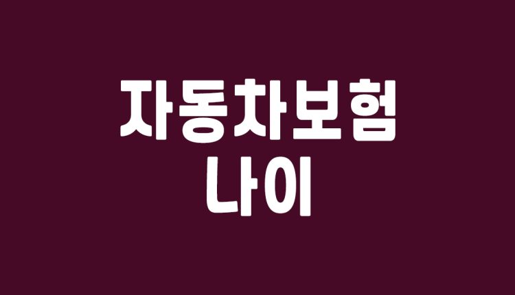 자동차보험 나이