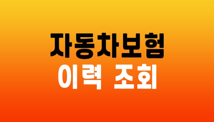 자동차보험 이력조회