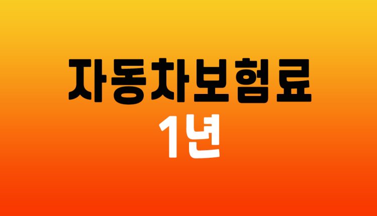 자동차보험료 1년