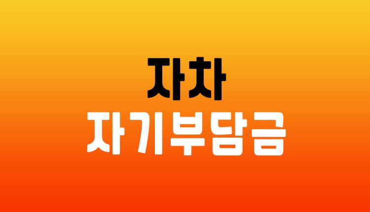 자차 자기부담금